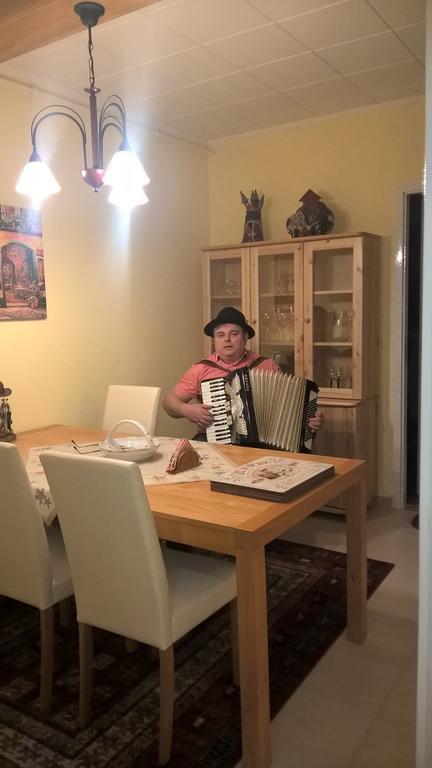 זירץ Pongracz Apartman מראה חיצוני תמונה